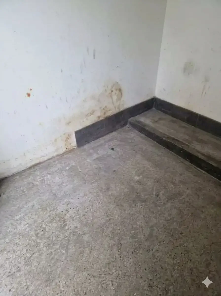 Rubbish Removal after